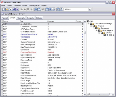 Screenshot of the application Metalite - #3