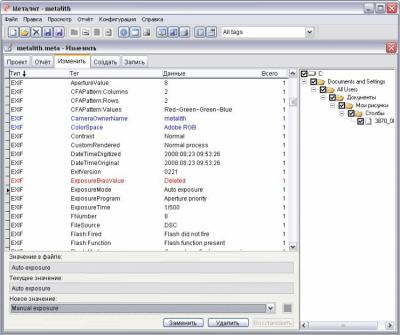Screenshot of the application Metalite - #4
