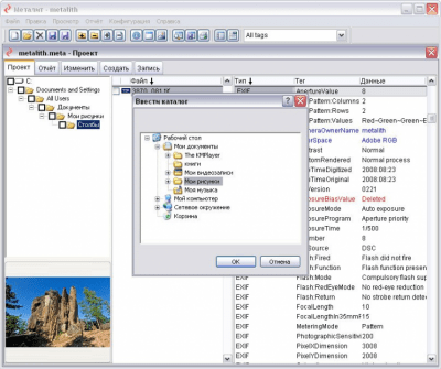 Screenshot of the application Metalite - #5