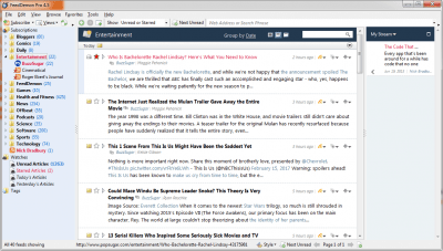 Screenshot of the application FeedDemon - #6