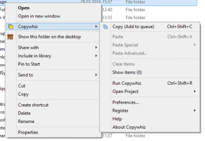 Screenshot of the application Copywhiz - #2