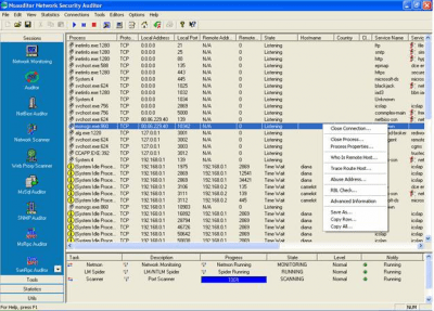 Screenshot of the application Network Security Auditing - #1