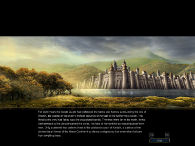 Screenshot of the application Battle for Wesnoth - #2