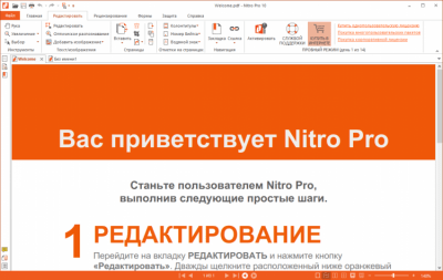 Screenshot of the application Nitro Pro - #3