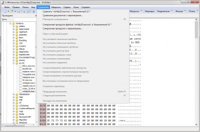 Screenshot of the application EmEditor - #2