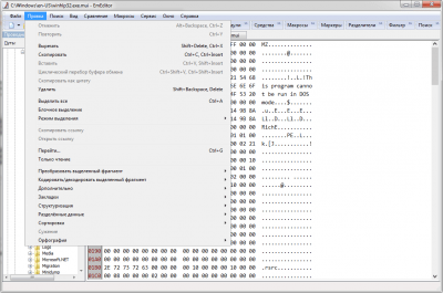 Screenshot of the application EmEditor - #4