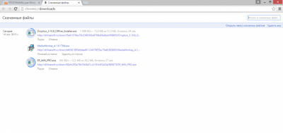 Screenshot of the application Google Chrome Windows - #3