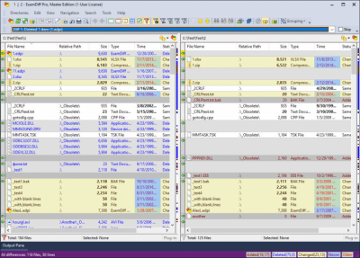 Screenshot of the application ExamDiff Pro - #2