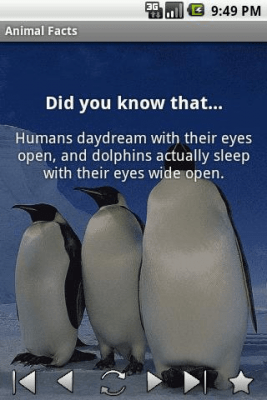 Screenshot of the application Animal Facts - #2