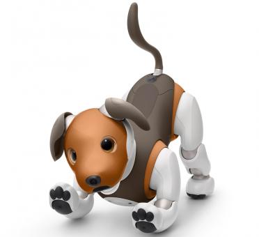 Watchdog: Myth or Reality?